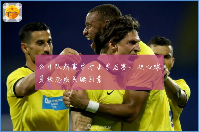 公牛队新赛季冲击季后赛，核心球员状态成关键因素