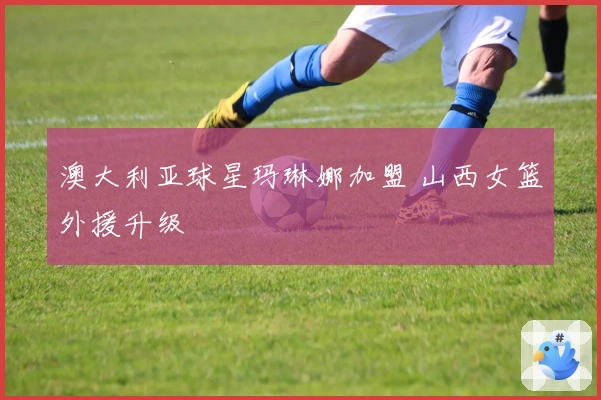 澳大利亚球星玛琳娜加盟 山西女篮外援升级